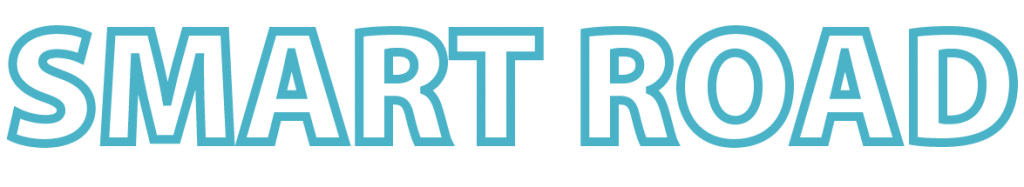 wildfaces.ai-smart-road